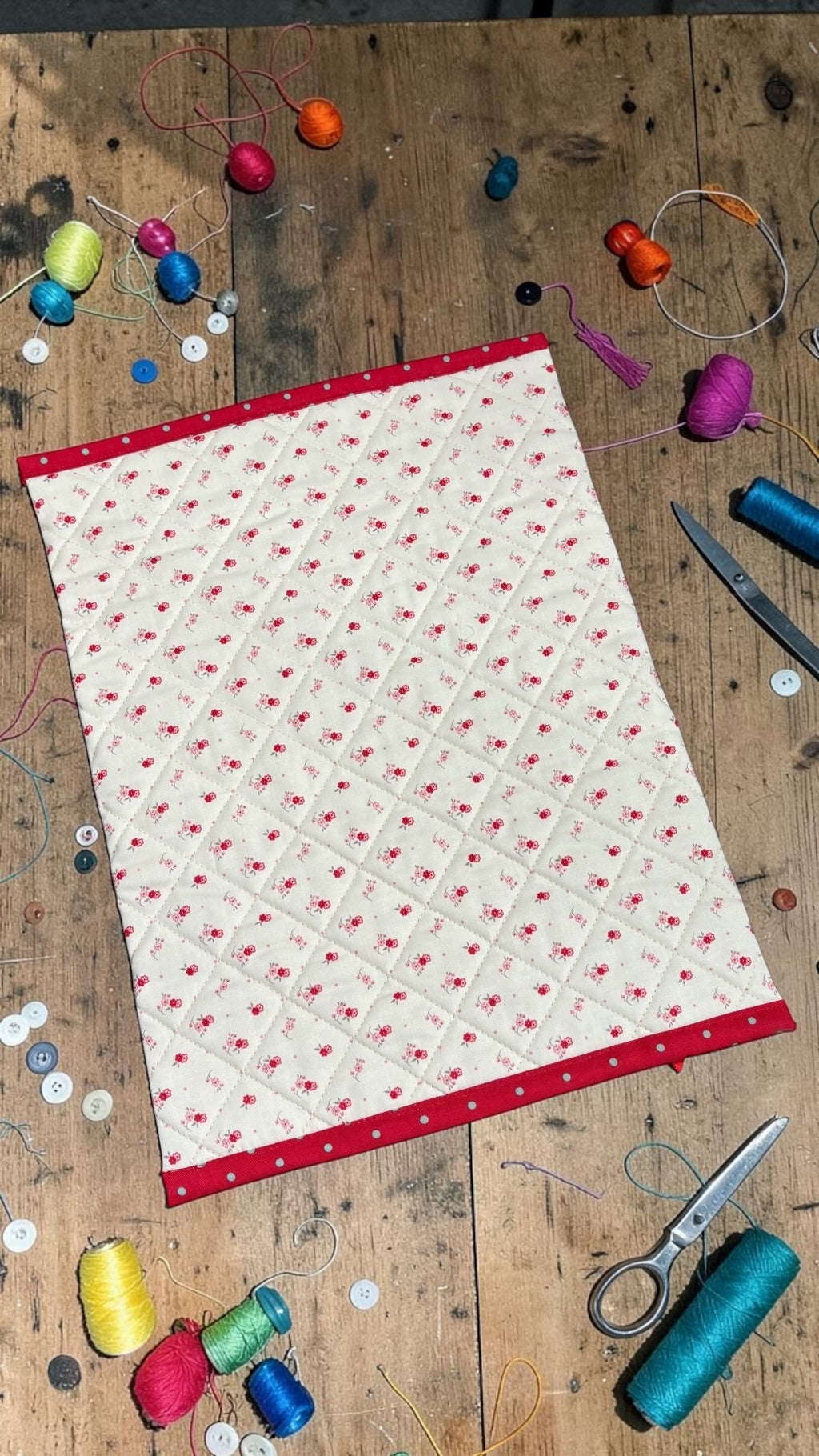 Summer Red Project Bag