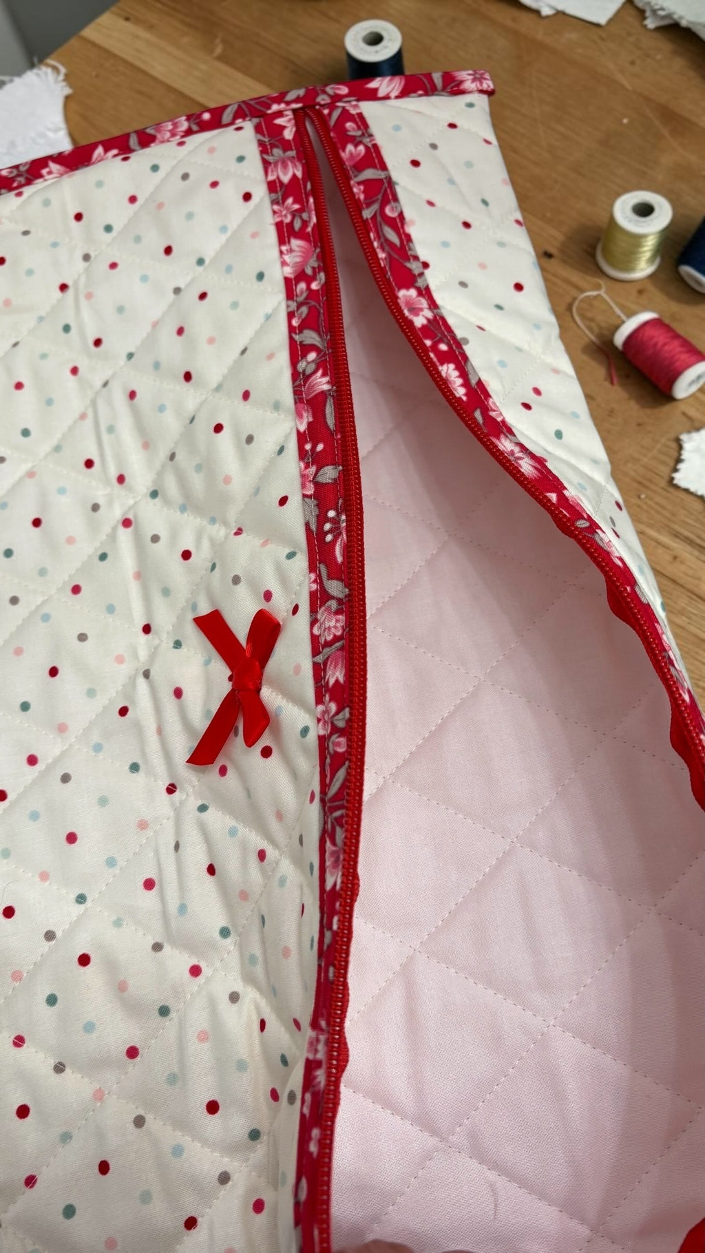 Summer Polka Dots Project Bag