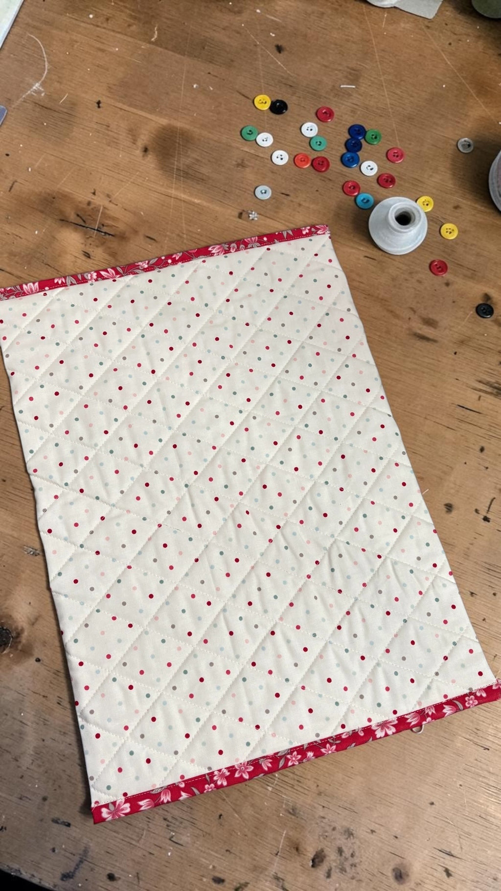 Summer Polka Dots Project Bag