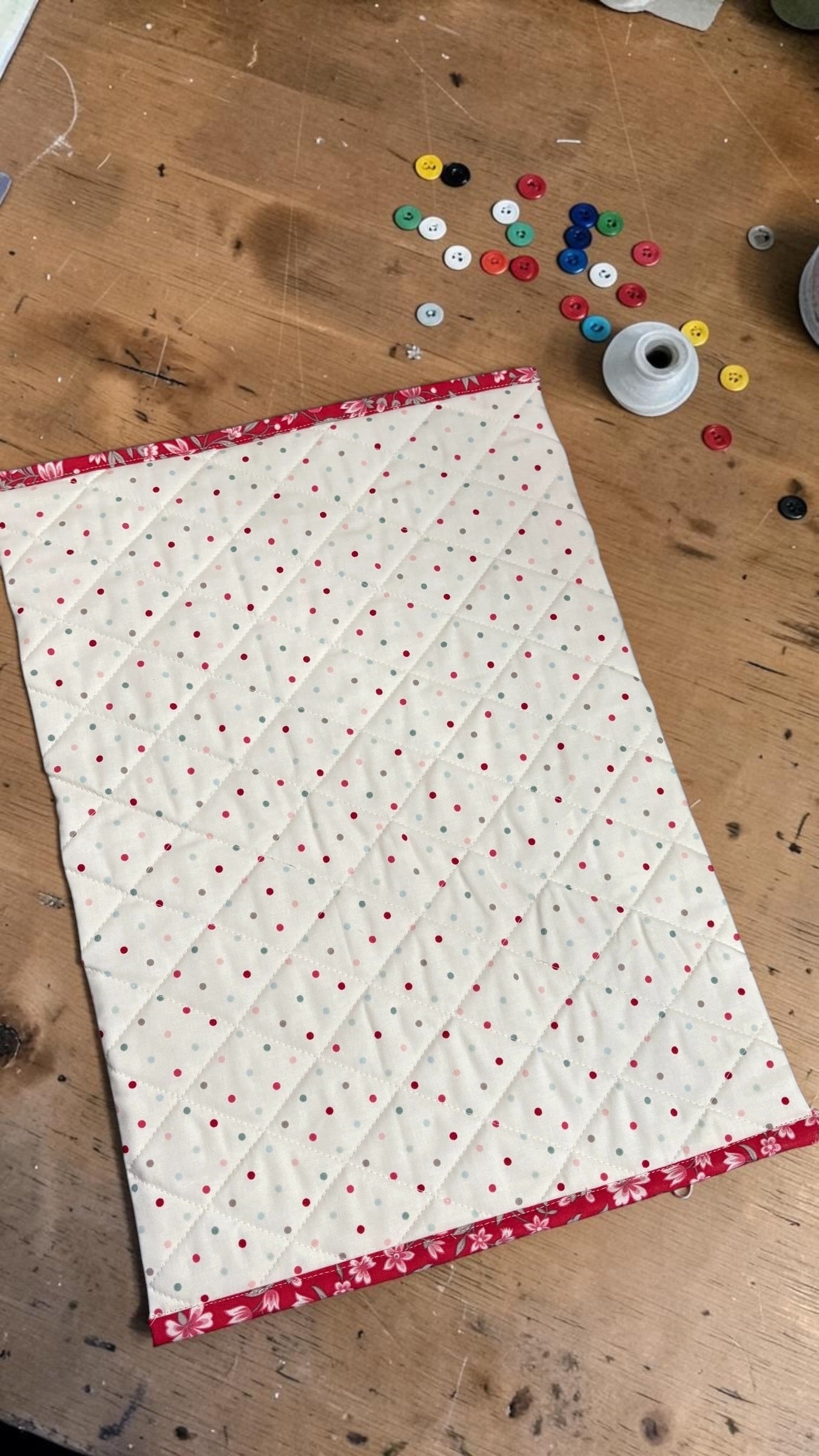 Summer Polka Dots Project Bag